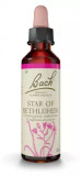 Fleurs De Bach Original Star Of Bethlehem 20Ml