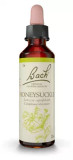 Fleurs De Bach Original Honeysuckle 20Ml