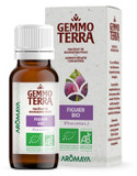 Gemmo Terra Fig Tree Bio 30 Ml