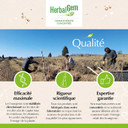 HerbalGem Organic Periwinkle 30ml