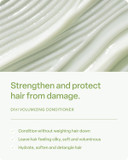 Divi Volumizing Conditioner For Women And Men - Lightweight Volume Conditioner For Fine Hair - Designed To Strengthen And Protect The Hair From Damage, 12 Fl Oz