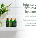 Tree Of Life Beauty Facial Skin Care Set, Brightening, Firming, Hydrating, Dry Face, Dermatologist Tested - Trio Power Kit, Vitamin C, Retinol And Hyaluronic Acid, 3 Count Of 1 Fl Oz