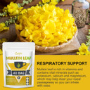 Mullein Leaf Herbal Tea For Respiratory Support, Mullen Tea For Lung Cleanse, Iymphatic Cleanse & Detox And Immune Support - No Caffeine, Non-Gmo - 40 Tea Bags