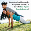Garden Of Life Raw Organic Protein & Greens - Chocolate - Vegan Protein Powder For Women And Men, Plant Protein, Pea Protein, Greens & Probiotics - Dairy Free, Gluten Free Low Carb Shake, 20 Servings