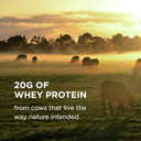 Solgar Grass Fed Whey To Go Protein Powder Vanilla, 2 Lb - 20G Of Grass-Fed Protein From New Zealand Cows - Great Tasting & Mixes Easily - Supports Strength & Recovery -, 36 Servings Solgar Grass Fed Whey To Go Protein Powder Vanilla, 2 Lb - 20G Of Grass-Fed Protein From New Zealand Cows - Great Tasting & Mixes Easily - Supports Strength & Recovery -, 36 Servings