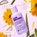 Love Wellness Ph Balancing Cleanser | Feminine Vaginal Wash | Fragrance-Free | Vaginal Cleanser For Balanced Ph, Intimate Health & Hygiene | Non-Irritating With Aloe Vera For Sensitive Skin | 5 Fl Oz
