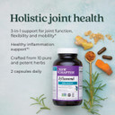 New Chapter Zyflamendâ Multi-Herbal Pain Reliever+ Joint Supplement, 10-In-1 Superfood Blend With Ginger & Turmeric For Healthy Inflammation Response & Herbal Pain Relief+, 120 Count