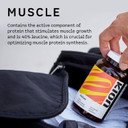 Kion Aminos Essential Amino Acids Capsules | The Building Blocks For Muscle Recovery, Reduced Cravings, Better Cognition, Immunity, And More | 30 Servings