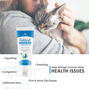 L-Lysine Gel For Cats - Immune System Support - Supplement Support For Healthy Tissue, Respiratory, And Vision - Salmon-Flavored - Made In The Usa - 5 Oz