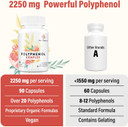 67,500 Mg Polyphenols Supplement - Powerful Antioxidants & Polyphenol For Age Defense, Polyphenol Superfood, Quercetin, Resveratrol, Green Tea, Plant-Based & Energy, Immune Support, 90 Capsules