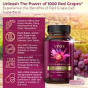 12-Hour Long-Lasting Piceid Resveratrol Supplement. Nitric Oxide Supplement. Supports Heart Health, Blood Flow, Boost Oxygen Superfood Powder, Keto Friendly. Vegan & Non-Gmo. 60 Day Supply