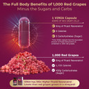 Vinia 12-Hour Long-Lasting Piceid Resveratrol Supplement. Nitric Oxide Supplement. Supports Heart Health, Blood Flow, Boost Oxygen Superfood Powder, Keto Friendly. Vegan & Non-Gmo. 30 Day Supply