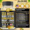 Sea Moss, Black Seed Oil, Ashwagandha, Ginger, Shilajit Gummies With Elderberry, Chlorophyll, Turmeric, Bladderwrack 17590Mg Advanced Strength Formula - All In 1 Bundle - Made In Usa (60 Gummies)