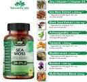 Sea Moss 6000Mg - Black Seed Oil 2500Mg - Bladderwrack 2000Mg - Turmeric 1500Mg Ashwagandha 1000Mg - Burdock 1000Mg - Vitamin C, D3, Yellow Dock Root, Manuka, Dandelion - 90 Veggie Caps
