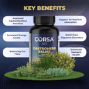 Gastroherb Relief 7 Herbs Extract - Immune Support Supplement Digestive Healthy Gut - Immunity Supplement For Men And Women - Natural St Johns Wort, Licorice Root, Rose Hip Oils - 90 Softgels