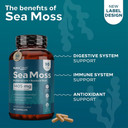 Sea Moss | Irish Sea Moss Capsules With Bladderwrack, Burdock Root & Bioperine For Absorption. Prebiotic & Immune Support | 90 Days Supply Of Bladderwrack And Sea Moss Pills - 180 Capsules