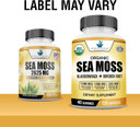 American Standard Supplements Organic Sea Moss, Bladderwrack & Burdock Root Capsules - 1200Mg Sea Moss, 1200Mg Bladderwrack, 225Mg Burdock Root Per Serving - 120 Capsules, 40 Servings