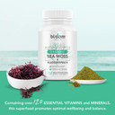 Sea Moss Supplement - Natural Irish Moss For Immune Support - Non-Gmo Seamoss Capsules For Thyroid Health - Vegan Raw Seamoss Pills With Natural Powder - 120 Vegetarian Caps