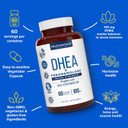 Dhea 100Mg Supplement With Pregnenolone 60Mg -Supports Hormone Balance, Lean Muscle Mass, Energy, Mood, Sleep, And Healthy Aging In Men And Women- Vegetable Capsules