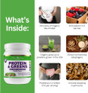 Paradise Herbs Orac Energy Proteins & Greens Powder, Antioxidant Power Of 24 Servings Of Fruits & Vegetables In 1 Scoop + 20G Protein, Vanilla, 14 Servings