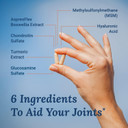 Live Conscious Glucosamine Chondroitin With Msm, Hyaluronic Acid, And More - Movewell Joint Health Supplement