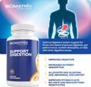 Digestive Enzymes Supplement (90 Capsules) Support Digestion - With Purified Bile, Pancreatin, Plant Enzymes, Ox Bile, Betaine Hcl, Support Digestion Of Fats Carbohydrates And Proteins