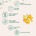 Cod Liver Oil 2,000Mg Per Serving, 360 Softgels | Lemon Flavored  Burpless  Wild Caught  Arctic Deep Sea Fish | High In Omega 3, Epa, Dha, Vitamins A, & D3 | Heart, Brain, & Immune Supplement