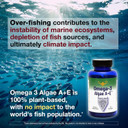 Omega-3 Algae A+E Plant Based Dha & Epa Fatty Acids - Alternative To Fish Oil - Plus Vitamin A And E - Supports Heart, Brain, Joint Health - From Dr. Carolyn Dean