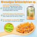 Vegan Omega 3 Gummies 1280Mg + Vitamin D3 K2 (Mk7), Omega 3 Fish Oil Alternative For Adults, W/Algae Epa 600Mg & Dha 400Mg, Mct Oil - No Fish Taste - For Brain, Eye, Immune Health, Sugar Free, 2 Pack