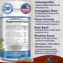 Adaptogen Stress Relief Immune Support Formula - Adaptogenic Adrenal Support With Ashwagandha, Astragalus, Ginseng, Holy Basil, Rhodiola, Amla, Maca, Schisandra, Non-Gmo - 60 Capsules