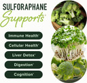 50Mg Sulforaphane Supplement From Broccoli Sprouts | Nrf2 Activation With Glucoraphanin, Myrosinase & Antioxidants | Support Cellular & Immune Health | Broccoli Seed Extract Microbeadlets, Vegan 60Ct