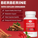 Berberine Supplement With Ceylon Cinnamon, Licorice Extract, Berberine 6X For Healthy Weight Management, Metabolism And Immune Support (120 Capsules)