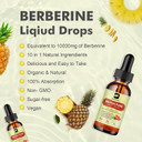 Premium Berberine Supplement - Berberine Liquid Drops With Turmeric, Ceylon Cinnamon, Bitter Melon, Milk Thistle, Berberine Veggie Supplement For Immune, Digestion System And Heart Health Support