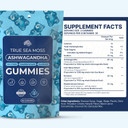 Sea Moss Elderberry Gummies For Adults & Kids - Magnesium, Burdock Root & Bladderwrack  Supports Immune, Boost Energy, Skin & Hair Health, Detox  Made In Usa - 60 Vegan Gummies