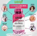 Elderberry And Sea Moss Supreme Capsules - Natural Black Elderberries With Wildcrafted Sea Moss Pills - 90 Capsules - Antioxidants - Herbal Supplements - Immune Support Supplement
