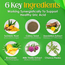 Nutrigout Uric Acid Cleanse Supplement W/Turmeric, Celery Seed, Bromelain, Milk Thistle, Dandelion And Chanca Piedra, 60 Vegetarian Capsules Of 500 Mg Each