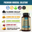 Shilajit Pure Himalayan Organic Capsules 15000Mg With Irish Sea Moss, Ashwagandha, Copper, Beet Root - Fulvic Acid Trace Minerals Supplement For Men & Women - 90 Count, Non-Gmo, Gluten-Free