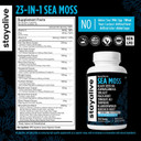 Stay Alive Irish Sea Moss 6000Mg, Black Seed Oil 1500Mg, Ashwagandha 3000Mg, Burdock Root 1000Mg, Bladderwrack Powder 1000Mg, All In One Supplement, 60 Sea Moss Pills, Shilajit Sea Moss Capsules