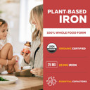 Organic Iron Supplement | Whole Food Iron & Cofactors, 25 Mg Elemental Iron | Enhanced Absorption Plus Blood Builder Vitamins - Gentle Form - Support Healthy Iron Level & Blood Health - 90 Capsules