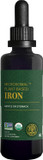Global Healing Center Iron Supplement For Women And Men - Blood Builder Liquid Iron Vitamin With Curry Plant Extract - Natural Energy To Combat Fatigue, Brain Health & Oxygen Level Support (2 Oz)