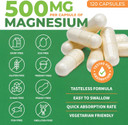 Forestleaf Magnesium Complex 500Mg - Magnesium 500Mg Capsules - Magnesium Supplement 500 Mg - Magnesium For Sleep, Magnesium For Constipation - Magnesium Supplement For Women (120 Ct)