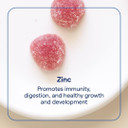 Trace Minerals Zinc Gummies - Chewable Zinc Supplement With Elderberry - Supports Immune System Health - Supplement To Aid Healthy Digestion & Development - Elderberry, 60 Gummies (30 Servings)