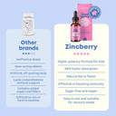 Joyspring Zincberry - Kids Zinc & Vitamin Supplement (2 Fl Oz) Immune Support Drops With Elderberry Flavor For Kids 2-16+ Years