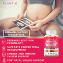 Prenatal Gummies For Women With Dha, Folate, Vitamin B C D | Delicious Multivitamin Blend For Fetal And Neural Support, Bones, Energy & Immunity During Pregnancy