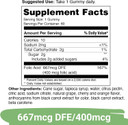 Yuve Prenatal Gummies For Women  Folic Acid 667 Mcg Dfe  Pregnancy Vitamins Gummies  Hormonal Support & Folate Acid  Vegan & Natural  60 Ct