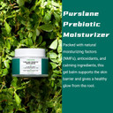 Purslane Prebiotic Moisturizer | Hydrating Moisturizing Gel Cream for Sensitive Skin | Ceramide,Urea, NMFs to Support Skin Barrier for Dry Skin | Non-comedogenic, Acne-prone Friendly