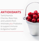Garden Of Life Quercetin Probiotic & Uric Acid Support With Tart Cherry, Vitamin C From Organic Acerola And Rose Hips Plus Luteolin Â Dr Formulated Â Gluten Free, Non Gmo Â 60 Tablets