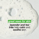 Dermalogica Breakout Clearing Foaming Wash - Acne Face Wash With Salicylic Acid & Tea Tree Oil - Dive Into Pores To Clear, Soothe, & Energize