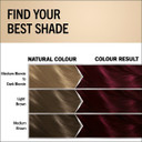Schwarzkopf Oleo Intense Burgundy Red Permanent Hair Dye