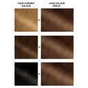 Garnier Nutrisse Permanent Hair Dye Golden Brown 5.3